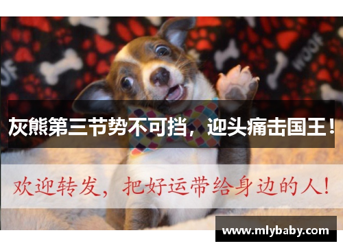 灰熊第三节势不可挡，迎头痛击国王！