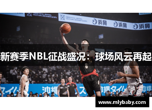 新赛季NBL征战盛况：球场风云再起