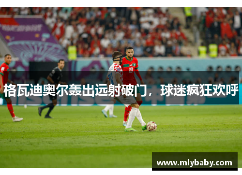 格瓦迪奥尔轰出远射破门，球迷疯狂欢呼